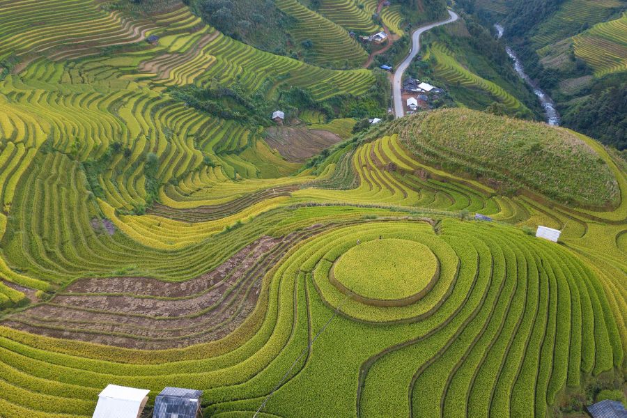 Le voyage au Vietnam possède une nature diversifiée et impressionnante
