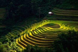 Itinéraire idéal pour un voyage au Vietnam 15 jours