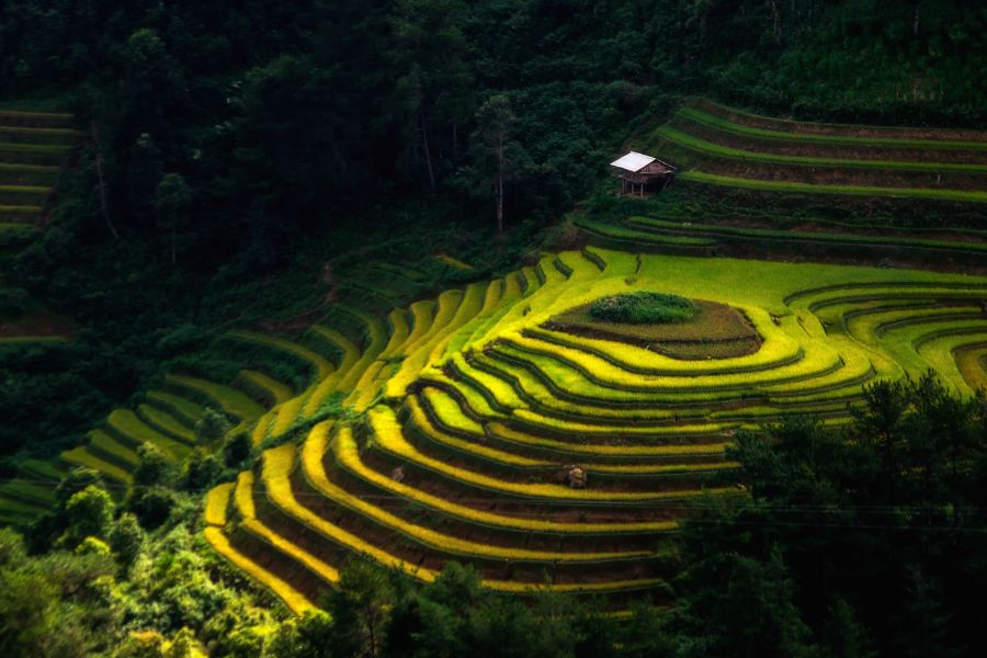 Itinéraire idéal pour un voyage au Vietnam 15 jours