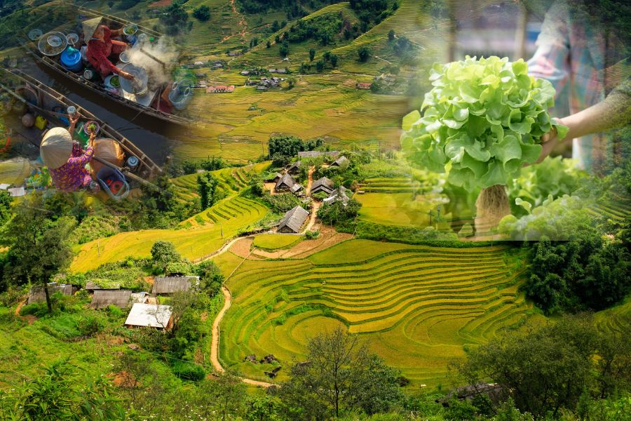 Découvrir deux pays en un seul voyage