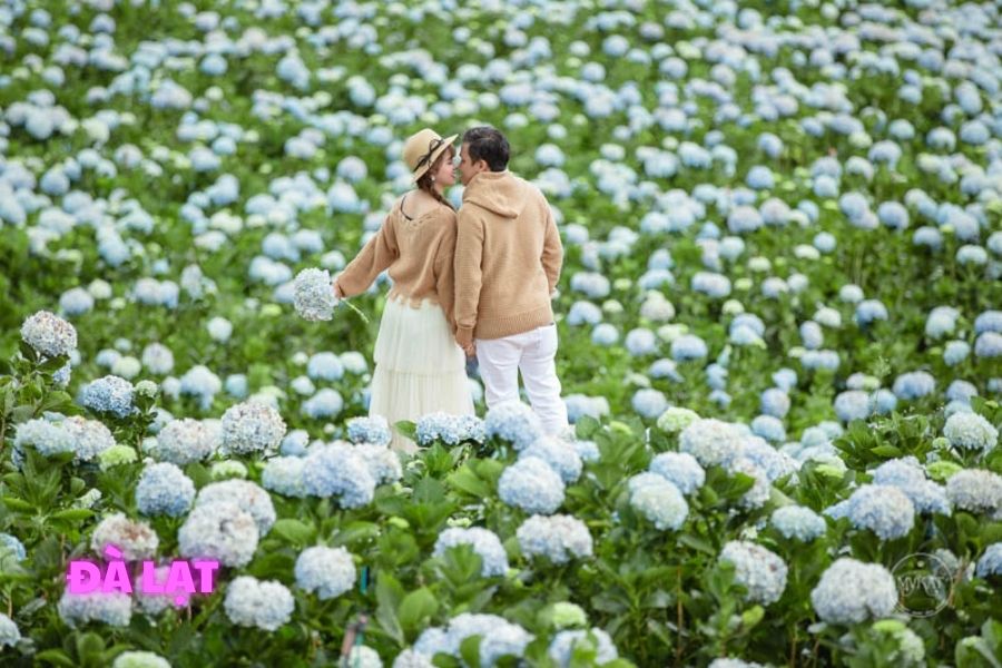 Đà Lạt - Une destination pour les escapades sentimentales